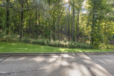 11608 Morehead, Chapel Hill, NC 27517 - photo 3