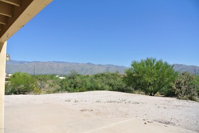 Back Yard View
