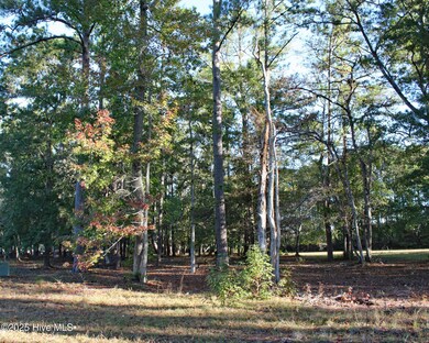 598 Lindgrove Place SW, Ocean Isle Beach, NC 28469 - photo 4