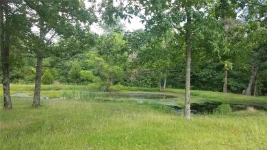 10133 Highway D, Dixon, MO 65459 - photo 3