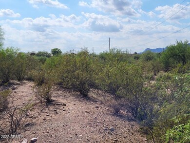 AD4-ViewN to BLM