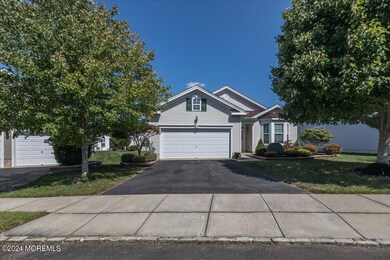 06-10MountainStreamCt0006