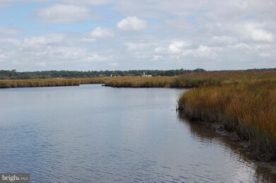 0 Orchard Rd unit 1000977819, Trappe, MD 21673 - photo 3