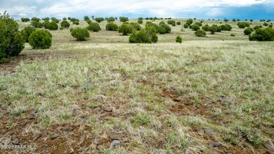 144 Dozer Ave, Ash Fork, AZ 86320 - photo 7