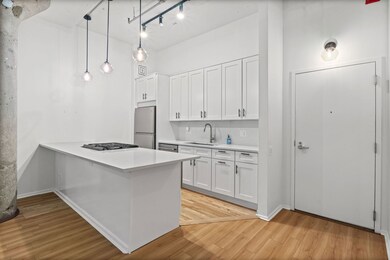 Metropolitan Place unit 212, Chicago, IL 60606 - photo 6