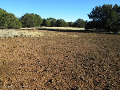 22171413 Unnamed Rd, Ash Fork, AZ 86320 - photo 5