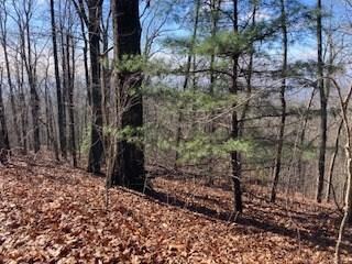 LOT 274 Heron Ct, Ellijay, GA 30540 - photo 4