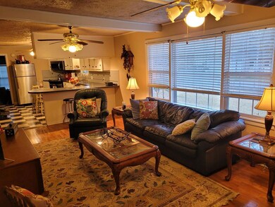 Living room open to kitchen