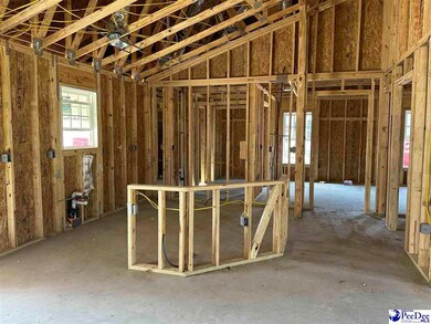 492 Cane Branch Rd, Loris, SC 29569 - photo 4