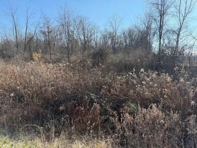 0 Lynch Rd unit 25700809, Murray, NY 14470 - photo 7