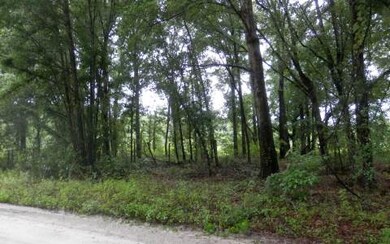 27694 41st Rd, Branford, FL 32008 - photo 2