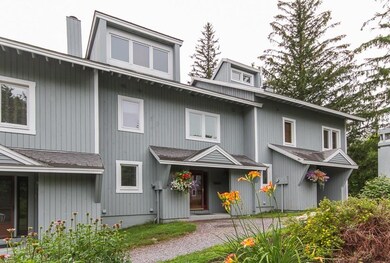 50 Shattarack Rd unit C 3, Stratton, VT 05360 - photo 4