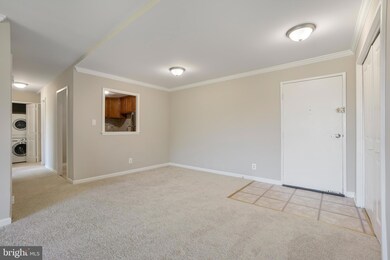 10570 Main St unit 503, Fairfax, VA 22030 - photo 7