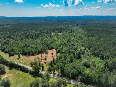 0 Coaling Rd unit 24403018, Sylacauga, AL 35151 - photo 6