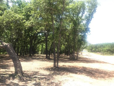 1030 Stagecoach Ranch Dr, Weatherford, TX 76085 - photo 3