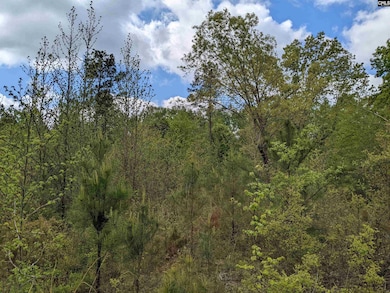 2206 Highway 1 S, Elgin, SC 29045 - photo 3