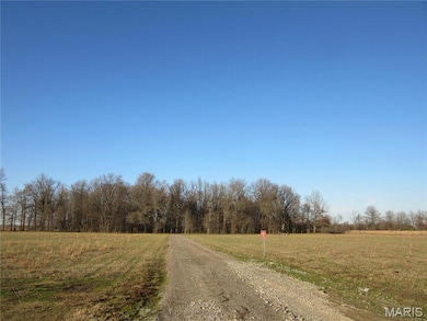 14639 Highway Dd, Campbell, MO 63933 - photo 6