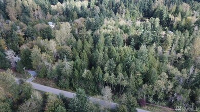 22613 152nd Ave E, Graham, WA 98338 - photo 4