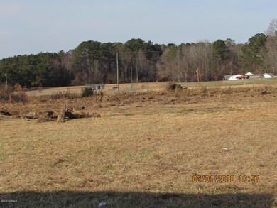 249 Orchard Rd, Elm City, NC 27822 - photo 5