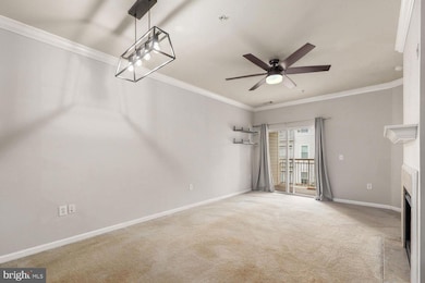 Marquis At Vienna Station unit 329, Vienna, VA 22181 - photo 6