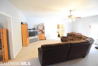 Lots of Natural Lighting