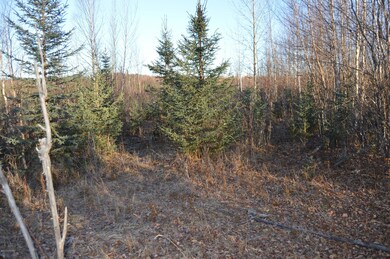 4082 Pond Lily Ln, Wasilla, AK 99654 - photo 6