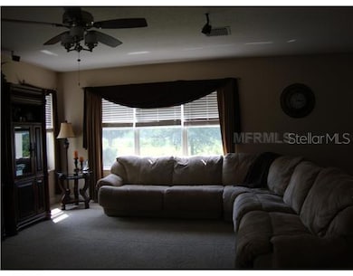 3621 Beneraid St, Land O Lakes, FL 34638 - photo 5