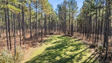 0000 Liberty Bottom Rd, Vernon, AL 35592 - photo 3