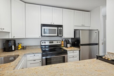 Walton Colonnade unit 36E, Chicago, IL 60611 - photo 6