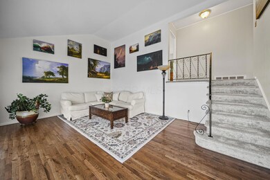 15-web-or-mls-DSC08171
