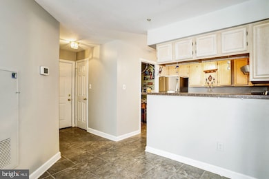 6830 Hayley Ridge Way unit L, Baltimore, MD 21209 - photo 5