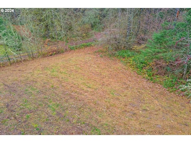 0 NW Plainview Rd, Portland, OR 97231 - photo 2