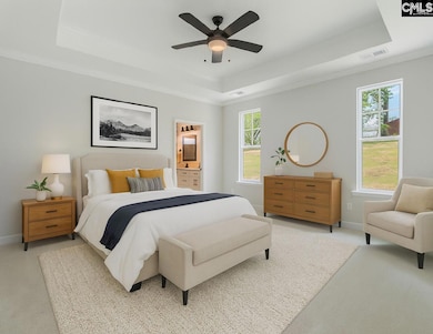 253 Horse Farm Place, Lexington, SC 29072 - photo 3