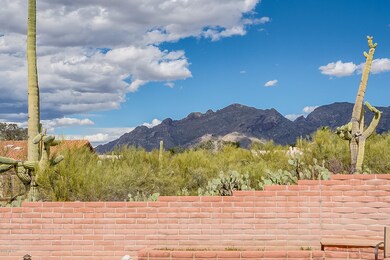 View from Back Patio