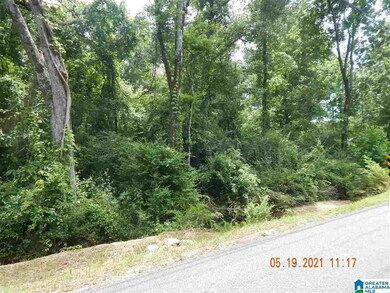 1724 4th Ave SW unit lot 6, Bessemer, AL 35022 - photo 4