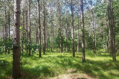 9th Avenue, New Lisbon, WI 54646 - photo 6