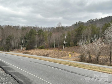 000 Highway 19 W unit Tract 1, Bryson City, NC 28713 - photo 5