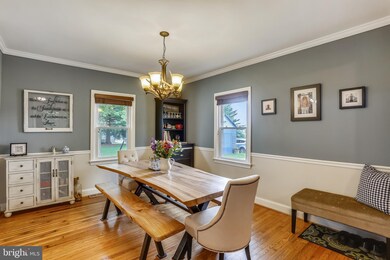 1811 Ednor Rd, Silver Spring, MD 20905 - photo 7