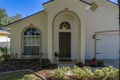 3007 Castle Rock Cir, Land O Lakes, FL 34639 - photo 7