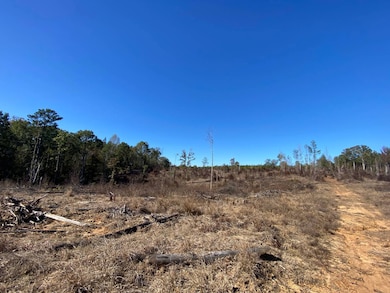 0 Vertie Hoggle Rd, North Perry, AL 36756 - photo 3