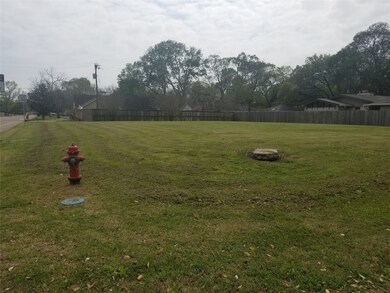 0 Hood and Blackstone unit 96555396, Alvin, TX 77511 - photo 4