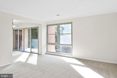 2204 Greenery Ln unit 301, Silver Spring, MD 20906 - photo 4