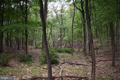 458 Gaither Rd, Great Cacapon, WV 25422 - photo 7