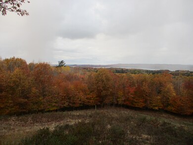 0 Valleyview Ridge unit 3 21113508, Manistee, MI 49660 - photo 5