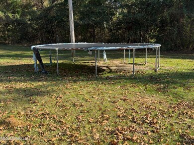 21 Mount Zion Rd, Prentiss, MS 39474 - photo 5