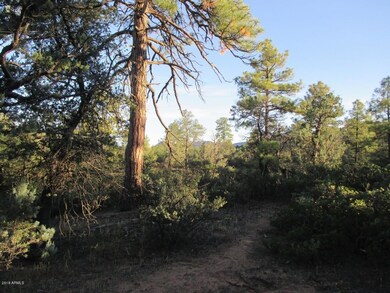 Photo 07