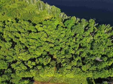 TBD Sunrise Shores Rd unit Parcel 5, Crystal Falls, MI 49920 - photo 5