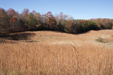 Tract 7 Barlow Rd, Rock Island, TN 38581 - photo 7