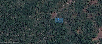 305 Dolly Ln, Lake Placid, FL 33852 - photo 4