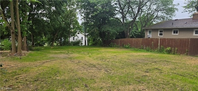 1080 Belleview Ave, Barberton, OH 44203 - photo 5